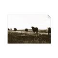 Picture of Cow Field  _GroupedProduct_Rectangle_Landscape_Photography _GroupedProduct_Rectangle_Landscape_Unframed_Print_Only_
