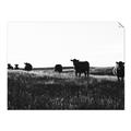 Picture of Cow Field  _GroupedProduct_Rectangle_Landscape_Photography _GroupedProduct_Rectangle_Landscape_Unframed_Print_Only_