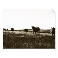 Picture of Cow Field  _GroupedProduct_Rectangle_Landscape_Photography _GroupedProduct_Rectangle_Landscape_Unframed_Print_Only_