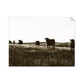 Picture of Cow Field  _GroupedProduct_Rectangle_Landscape_Photography _GroupedProduct_Rectangle_Landscape_Unframed_Print_Only_