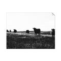 Picture of Cow Field  _GroupedProduct_Rectangle_Landscape_Photography _GroupedProduct_Rectangle_Landscape_Unframed_Print_Only_