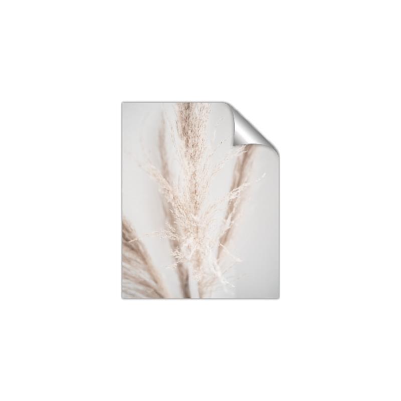 Picture of Whispy Pampas _GroupedProduct_Rectangle_Portrait_Photography _GroupedProduct_Rectangle_Portrait_Unframed_Print_Only_