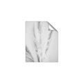 Picture of Whispy Pampas _GroupedProduct_Rectangle_Portrait_Photography _GroupedProduct_Rectangle_Portrait_Unframed_Print_Only_