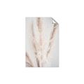 Picture of Whispy Pampas _GroupedProduct_Rectangle_Portrait_Photography _GroupedProduct_Rectangle_Portrait_Unframed_Print_Only_