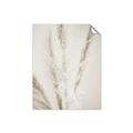 Picture of Whispy Pampas _GroupedProduct_Rectangle_Portrait_Photography _GroupedProduct_Rectangle_Portrait_Unframed_Print_Only_