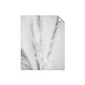 Picture of Whispy Pampas _GroupedProduct_Rectangle_Portrait_Photography _GroupedProduct_Rectangle_Portrait_Unframed_Print_Only_