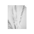 Picture of Whispy Pampas _GroupedProduct_Rectangle_Portrait_Photography _GroupedProduct_Rectangle_Portrait_Unframed_Print_Only_