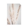 Picture of Whispy Pampas _GroupedProduct_Rectangle_Portrait_Photography _GroupedProduct_Rectangle_Portrait_Unframed_Print_Only_