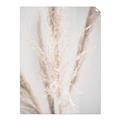 Picture of Whispy Pampas _GroupedProduct_Rectangle_Portrait_Photography _GroupedProduct_Rectangle_Portrait_Unframed_Print_Only_