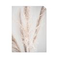 Picture of Whispy Pampas _GroupedProduct_Rectangle_Portrait_Photography _GroupedProduct_Rectangle_Portrait_Unframed_Print_Only_