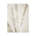 Picture of Whispy Pampas _GroupedProduct_Rectangle_Portrait_Photography _GroupedProduct_Rectangle_Portrait_Unframed_Print_Only_