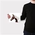Picture of Spotted Horse _GroupedProduct_Rectangle_Landscape_Photography _GroupedProduct_Rectangle_Landscape_Canvas_