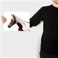 Picture of Spotted Horse _GroupedProduct_Rectangle_Landscape_Photography _GroupedProduct_Rectangle_Landscape_Canvas_