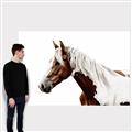 Picture of Spotted Horse _GroupedProduct_Rectangle_Landscape_Photography _GroupedProduct_Rectangle_Landscape_Canvas_