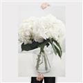 Picture of Hydrangea Bouquet _GroupedProduct_Rectangle_Portrait_Photography _GroupedProduct_Rectangle_Portrait_Canvas_