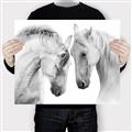 Picture of Face Off Horses _GroupedProduct_Rectangle_Landscape_Photography _GroupedProduct_Rectangle_Landscape_Canvas_
