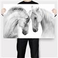 Picture of Face Off Horses _GroupedProduct_Rectangle_Landscape_Photography _GroupedProduct_Rectangle_Landscape_Canvas_