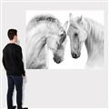 Picture of Face Off Horses _GroupedProduct_Rectangle_Landscape_Photography _GroupedProduct_Rectangle_Landscape_Canvas_