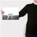 Picture of Field Sheep  _GroupedProduct_Rectangle_Landscape_Photography _GroupedProduct_Rectangle_Landscape_Canvas_