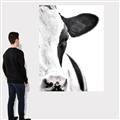 Picture of Side Cow _GroupedProduct_Rectangle_Portrait_Photography _GroupedProduct_Rectangle_Portrait_Canvas_