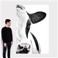 Picture of Side Cow _GroupedProduct_Rectangle_Portrait_Photography _GroupedProduct_Rectangle_Portrait_Canvas_