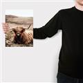 Picture of Furry Brown Cow _GroupedProduct_Rectangle_Portrait_Photography _GroupedProduct_Rectangle_Portrait_Canvas_