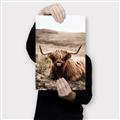 Picture of Furry Brown Cow _GroupedProduct_Rectangle_Portrait_Photography _GroupedProduct_Rectangle_Portrait_Canvas_