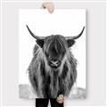 Picture of B&W Highland _GroupedProduct_Rectangle_Portrait_Photography _GroupedProduct_Rectangle_Portrait_Canvas_