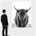 Picture of B&W Highland _GroupedProduct_Rectangle_Portrait_Photography _GroupedProduct_Rectangle_Portrait_Canvas_