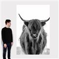 Picture of B&W Highland _GroupedProduct_Rectangle_Portrait_Photography _GroupedProduct_Rectangle_Portrait_Canvas_