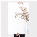 Picture of Nautral Eucalyptus  _GroupedProduct_Rectangle_Portrait_Photography _GroupedProduct_Rectangle_Portrait_Canvas_
