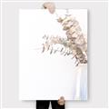 Picture of Nautral Eucalyptus  _GroupedProduct_Rectangle_Portrait_Photography _GroupedProduct_Rectangle_Portrait_Canvas_