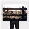 Picture of Farm Fence _GroupedProduct_Rectangle_Landscape_Photography _GroupedProduct_Rectangle_Landscape_Canvas_