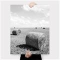 Picture of Hay Bail _GroupedProduct_Rectangle_Portrait_Photography _GroupedProduct_Rectangle_Portrait_Canvas_