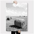 Picture of Hay Bail _GroupedProduct_Rectangle_Portrait_Photography _GroupedProduct_Rectangle_Portrait_Canvas_