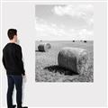 Picture of Hay Bail _GroupedProduct_Rectangle_Portrait_Photography _GroupedProduct_Rectangle_Portrait_Canvas_