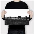 Picture of Cow Field  _GroupedProduct_Rectangle_Landscape_Photography _GroupedProduct_Rectangle_Landscape_Canvas_