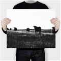 Picture of Cow Field  _GroupedProduct_Rectangle_Landscape_Photography _GroupedProduct_Rectangle_Landscape_Canvas_