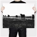 Picture of Cow Field  _GroupedProduct_Rectangle_Landscape_Photography _GroupedProduct_Rectangle_Landscape_Canvas_