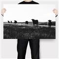 Picture of Cow Field  _GroupedProduct_Rectangle_Landscape_Photography _GroupedProduct_Rectangle_Landscape_Canvas_