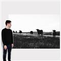 Picture of Cow Field  _GroupedProduct_Rectangle_Landscape_Photography _GroupedProduct_Rectangle_Landscape_Canvas_