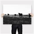 Picture of Cow Field  _GroupedProduct_Rectangle_Landscape_Photography _GroupedProduct_Rectangle_Landscape_Canvas_