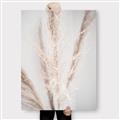 Picture of Whispy Pampas _GroupedProduct_Rectangle_Portrait_Photography _GroupedProduct_Rectangle_Portrait_Canvas_