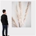 Picture of Whispy Pampas _GroupedProduct_Rectangle_Portrait_Photography _GroupedProduct_Rectangle_Portrait_Canvas_