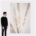 Picture of Whispy Pampas _GroupedProduct_Rectangle_Portrait_Photography _GroupedProduct_Rectangle_Portrait_Canvas_