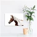 Picture of Spotted Horse _GroupedProduct_Rectangle_Landscape_Photography _GroupedProduct_Rectangle_Landscape_Canvas_