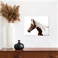 Picture of Spotted Horse _GroupedProduct_Rectangle_Landscape_Photography _GroupedProduct_Rectangle_Landscape_Canvas_