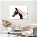 Picture of Spotted Horse _GroupedProduct_Rectangle_Landscape_Photography _GroupedProduct_Rectangle_Landscape_Canvas_