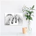 Picture of Face Off Horses _GroupedProduct_Rectangle_Landscape_Photography _GroupedProduct_Rectangle_Landscape_Canvas_