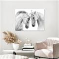 Picture of Face Off Horses _GroupedProduct_Rectangle_Landscape_Photography _GroupedProduct_Rectangle_Landscape_Canvas_
